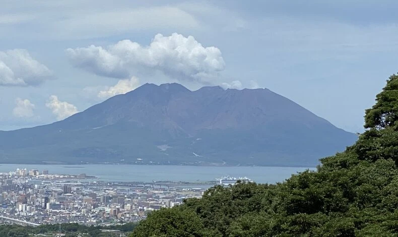 画像1479：母校で高卒求人